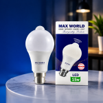 Motion Sensor Light